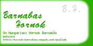 barnabas hornok business card