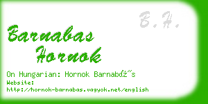 barnabas hornok business card